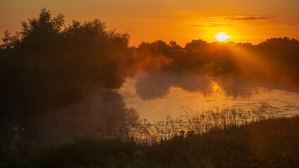 Fototapeta premium A beautiful sunrise over a misty lake with golden light reflecting on the water, surrounded by dark trees and grass