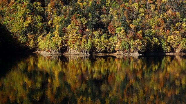 さっぽろ湖の紅葉