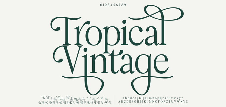 Tropical Vintage Elegant alphabet letters font and number. Classic Lettering Minimal Fashion Designs. Typography modern serif fonts decorative vintage design concept. vector illustration