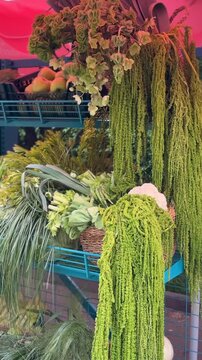 Fresh green foliage and vegetables displayed on blue market stall shelves