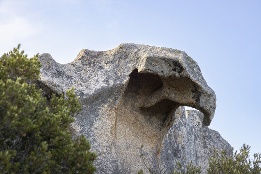 View of the natural granite rock formation known as Capo d'Orso shaped like a bear, surrounded by Mediterranean scrub under a clear blue sky in Capo D'orso, Sardegna, Italy.