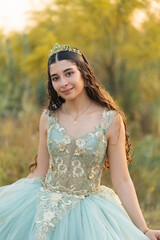 Elegant teenage girl portrait during golden hour in natural setting vertical © Gonzalo Infiesta