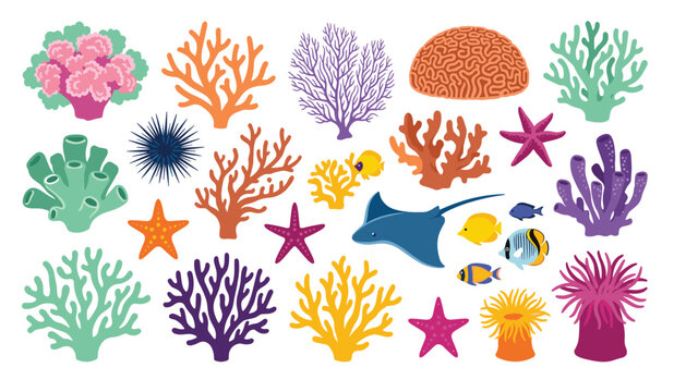 Colorful underwater coral reef vector illustration set featuring tropical sea plants fish stingray starfish isolated on white background