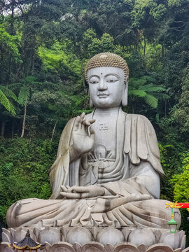 Genting Highlands, Malaysia - January 10, 2026: A large seated stone Buddha statue with raised hand gesture sits on a lotus throne at Chin Swee Caves Temple amid tropical forest.