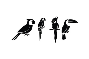 Obraz premium Tropical Bird Silhouettes Set of Parrot and Toucan Icons
