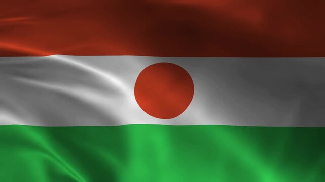 Niger National Flag Waving in Wind Realistic Fabric Texture Background Animation
