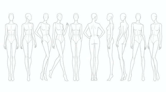 Vector illustration of multiple female body outline poses