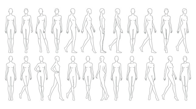 Vector illustration of collection of female body outline illustrations in various poses