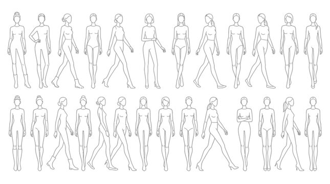 Vector illustration of collection of various female figure illustrations in different poses and outfits