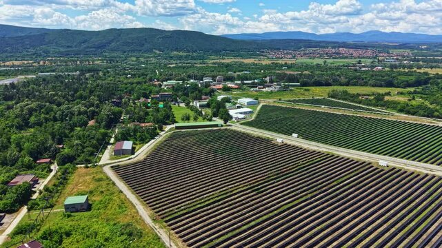 Rows of grape plants are planted in neat lines across the land. Nearby buildings and trees are seen. The sky is clear with some clouds during the day.
