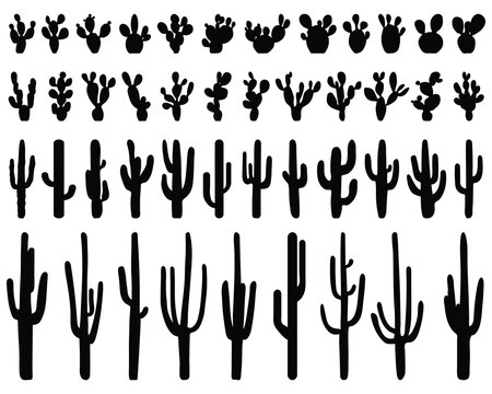 Black silhouettes of different cactus