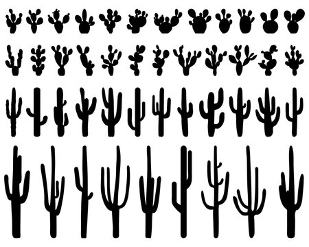 Black silhouettes of different cactus