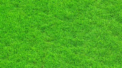 Fototapeta premium Aerial drone view of a lush green lawn, showcasing dense grass texture, healthy turf coverage, and well-maintained landscaping that reflects sustainable lawn care and consistent maintenance practices.