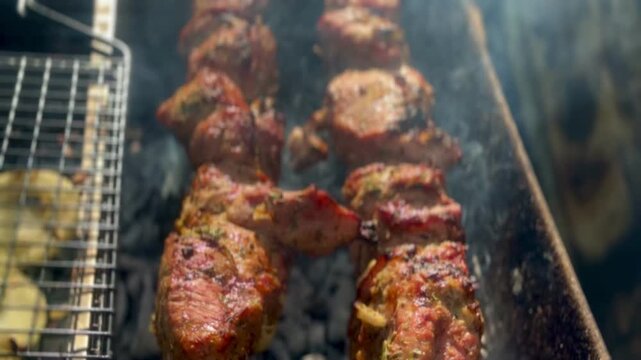Outdoor Barbecue: Grilling Juicy Meat Shashlik on Skewer Over Open Fire