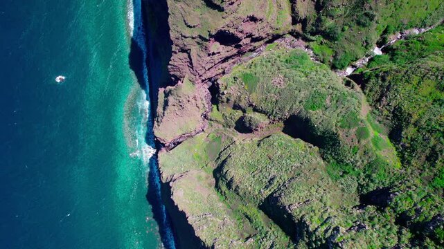 Drone aerial zenithal forward flight over rugged volcanic cliffs meeting the turquoise Atlantic Ocean on Madeira Island.