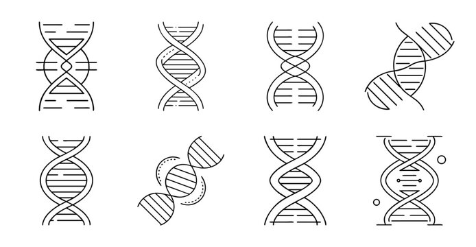 Dna and rna molecular icons set - Simple vector icons showing DNA helix, RNA strand, and molecular structures in black and white