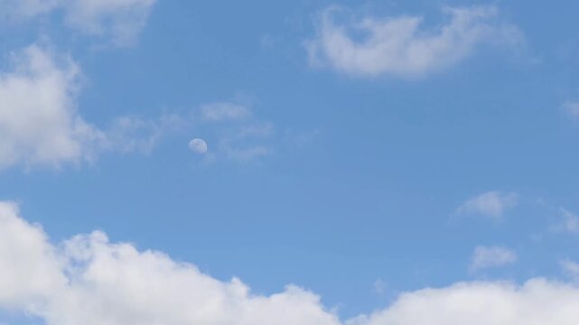 Curious and whitish clouds in afternoon