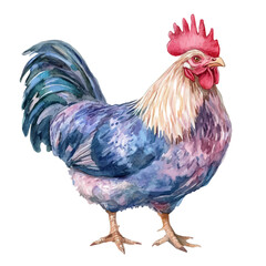 Cordon Bleu, drawing watercolor, vector isolated on a white background. © Vendrix