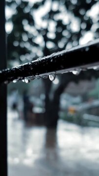 rain drops on the window