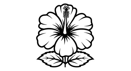 Hibiscus flower line art with leaves. © huj