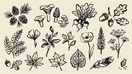 Black ink style botanical illustrations of pinecones mushrooms leaves flowers and feathers arranged on beige background with natural texture and detail © Abdul Waheed Studio