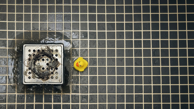 Clogged shower drain with hair and dirt in bathroom floor tile with rubber duck