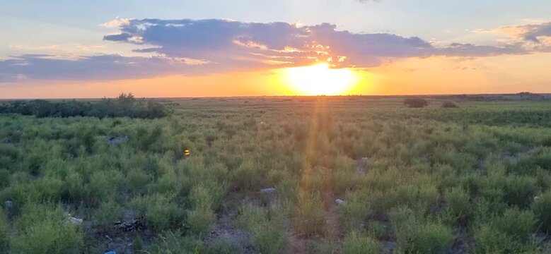Sunset Over Green Steppe with Shrubs and Dramatic Clouds