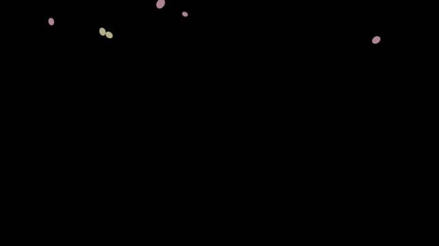 Colorful confetti falling against a black background.