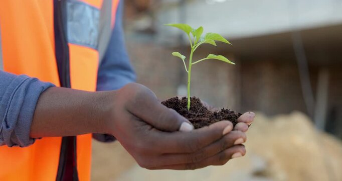 Plant, soil and hands of civil engineer outdoor with sustainable building material for renovation. Man, infrastructure and construction worker with leaf for eco friendly architecture development.