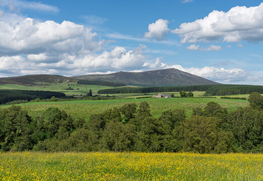 Ben Rinnes highest Moray hill shines in hot summer sun near Dufftown, Scotland, with bright fields and trees