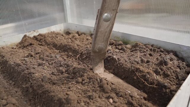 Working with hand hoe in greenhouse garden bed close-up in slow motion
