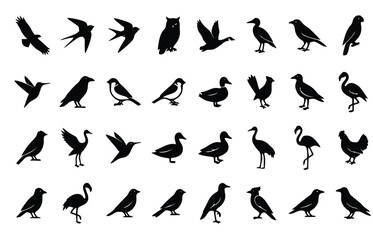 Fototapeta premium Black bird silhouettes collection, 32 wild avian species vector set, minimalist flying and perched bird icons for nature design and logos