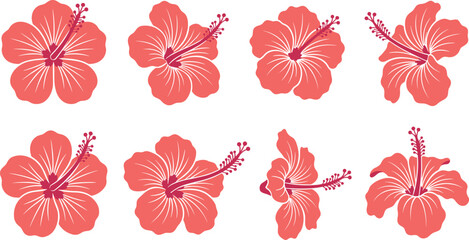 Collection of eight pink hibiscus flower in various angles and bloom stages on a white background, for tropical themes © MD