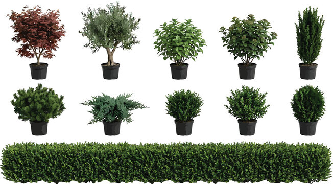 Collection of various potted garden plants and a long green hedge isolated on a white background