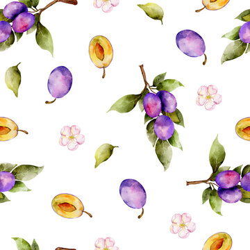 seamless pattern plums autumn watercolor background fruits