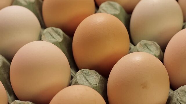 Close up of fresh chicken eggs in a recycled cardboard carton on a rotating base