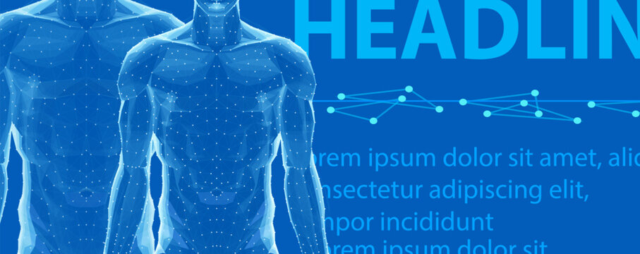 Human body on blue. Abstract vector. Digital anatomy, Medical technology, Muscle structure, Health innovation, 3D model, DNA biotechnology, Body system, Science medicine, Healthy anatomy concept