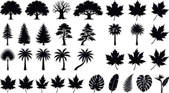 Black and white of maple leaves in a 4x4 grid layout maple leaf botanical nature autumn tree plant monochrome