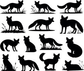 Obraz premium Collection of wild fox silhouettes showing various poses standing sitting and lying isolated on white background