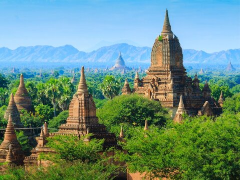 The temple are beautiful in forest 