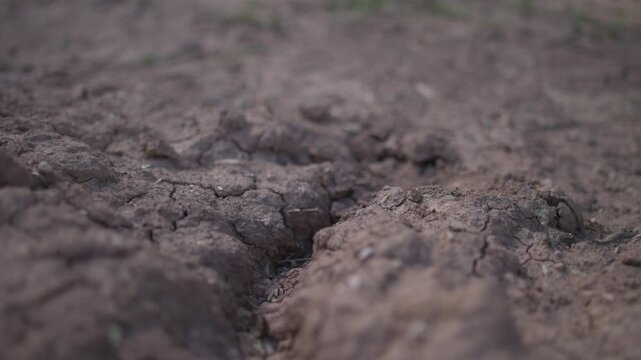 Close-up of brown, cracked earth. Deep fissures split the soil. Ground appears parched and dry. Severe drought conditions are shown. Water scarcity concerns are evident