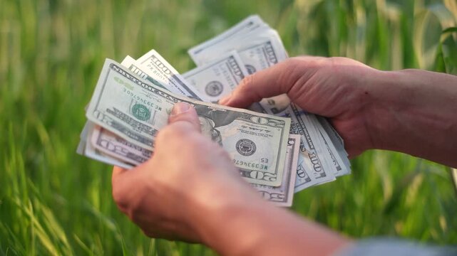 A man holds a stack of cash in his hands, examining the money closely. The hands display several denominations of currency surrounded by green grass.