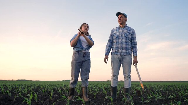 A woman stands in a cornfield while holding a tool. A man stands nearby, discussing with her in the growing corn rows under a clear sky.