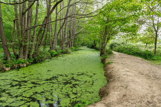 A canal that runs from Groombridge Place  to the River Grom. Groombridge straddles the Kent & East Sussex border near Tunbridge Wells, England