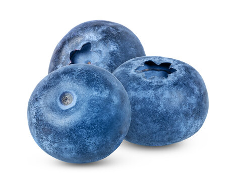 Blue berries isolated. Ripe blueberry isolate on white.