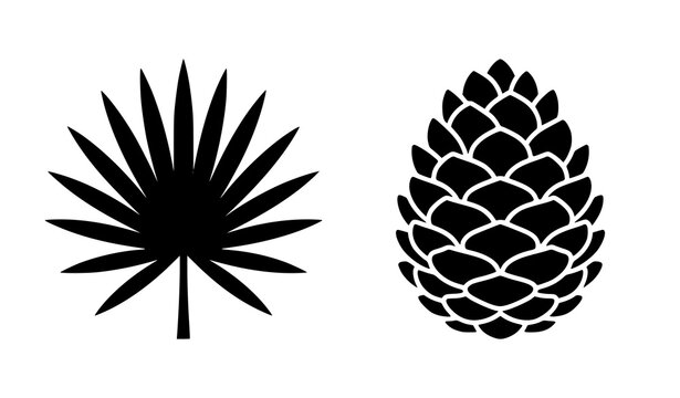 Palm leaf and pine cone silhouettes isolated botanical vector illustration