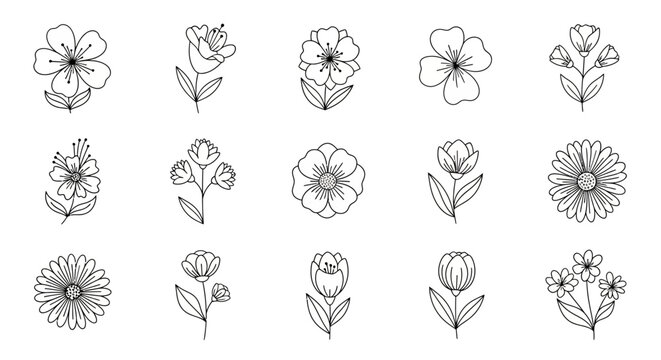 Minimalist Flower Line Art Set with Various Botanical Outlines for Creative Design Projects