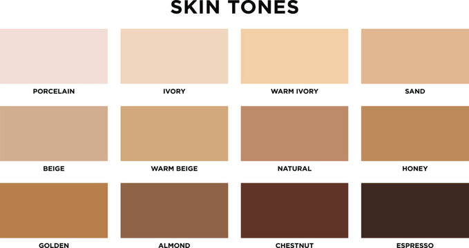 Skin tones palette chart with twelve diverse shades from porcelain to espresso, vector collection for cosmetic and makeup design