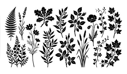 Wildflower and fern silhouette collection black botanical vector illustration set © Boloram