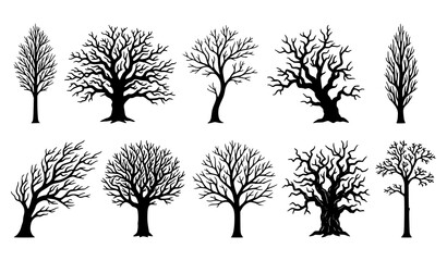 Obraz premium Bare winter tree collection black silhouette botanical vector illustration set